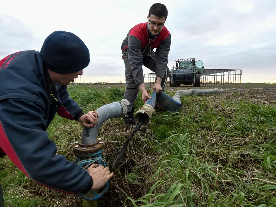 America’s hidden $5.7 billion goldmine! US sewage and manure may be key to ending reliance on synthetic fertilisers