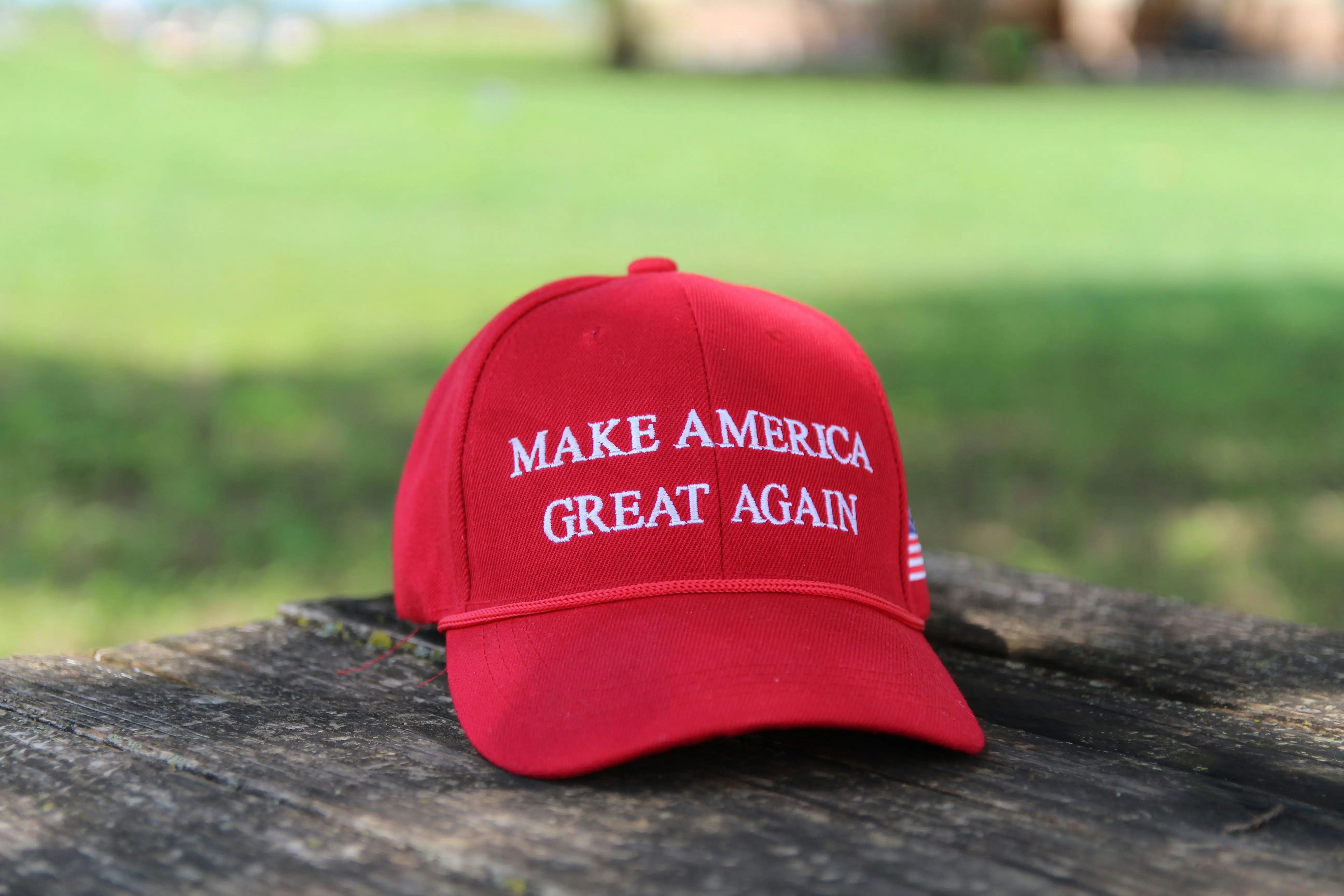 Sam says Gemini suggested he create a MAGA female "hot girl"