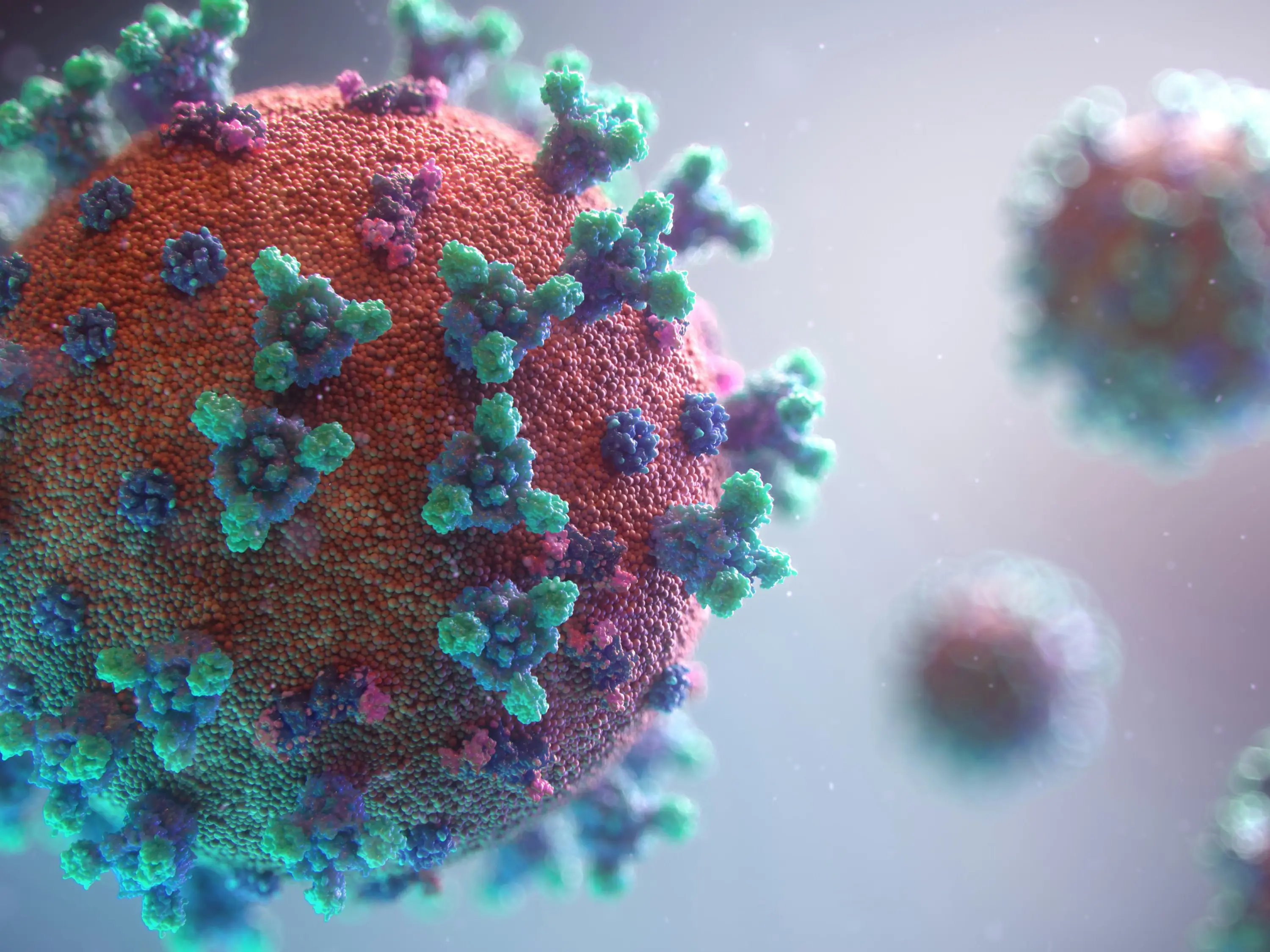 Scientists stumble upon alphacoronavirus with pandemic potential in East African bats Scientists stumble upon alphacoronavirus with pandemic potential in East African bats