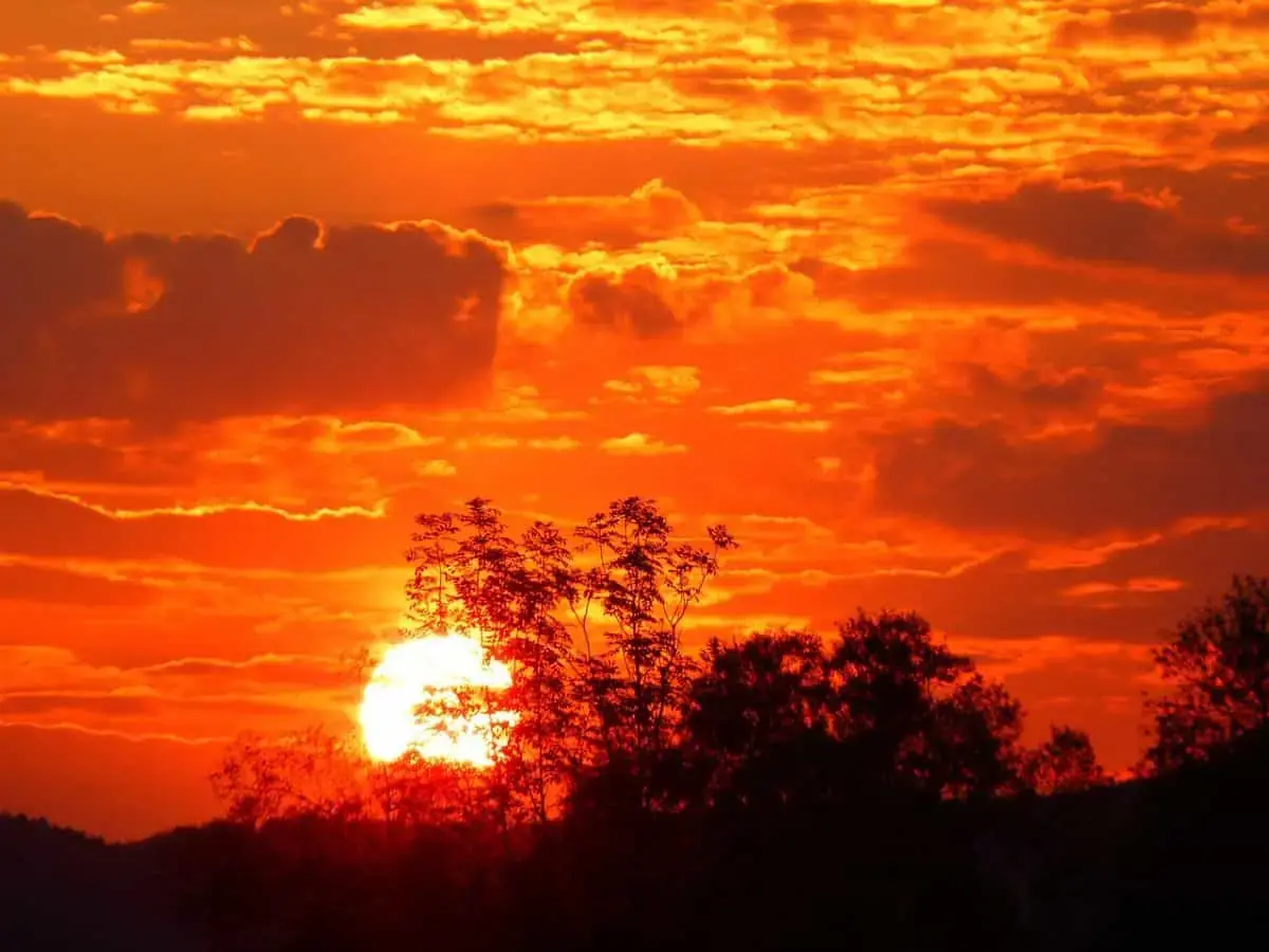 Telangana heatwave alert: Temperatures to hit 45°C, red alert issued in 19 districts