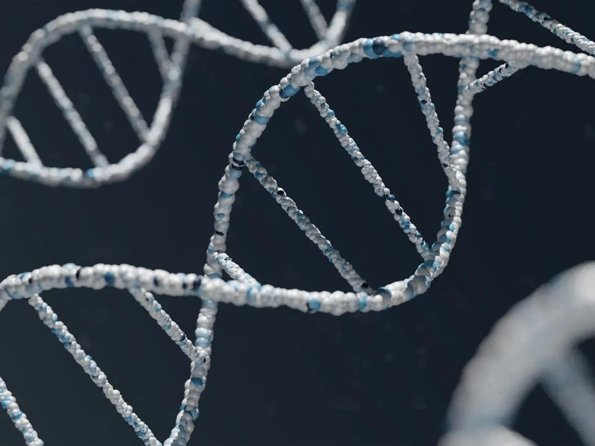 What is DNA Day?