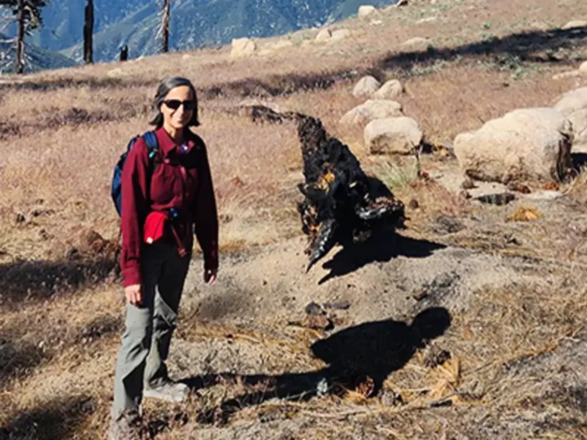 McCasland was reportedly working with NASA aerospace engineer Monica Jacinto Reza on "Mondaloy"