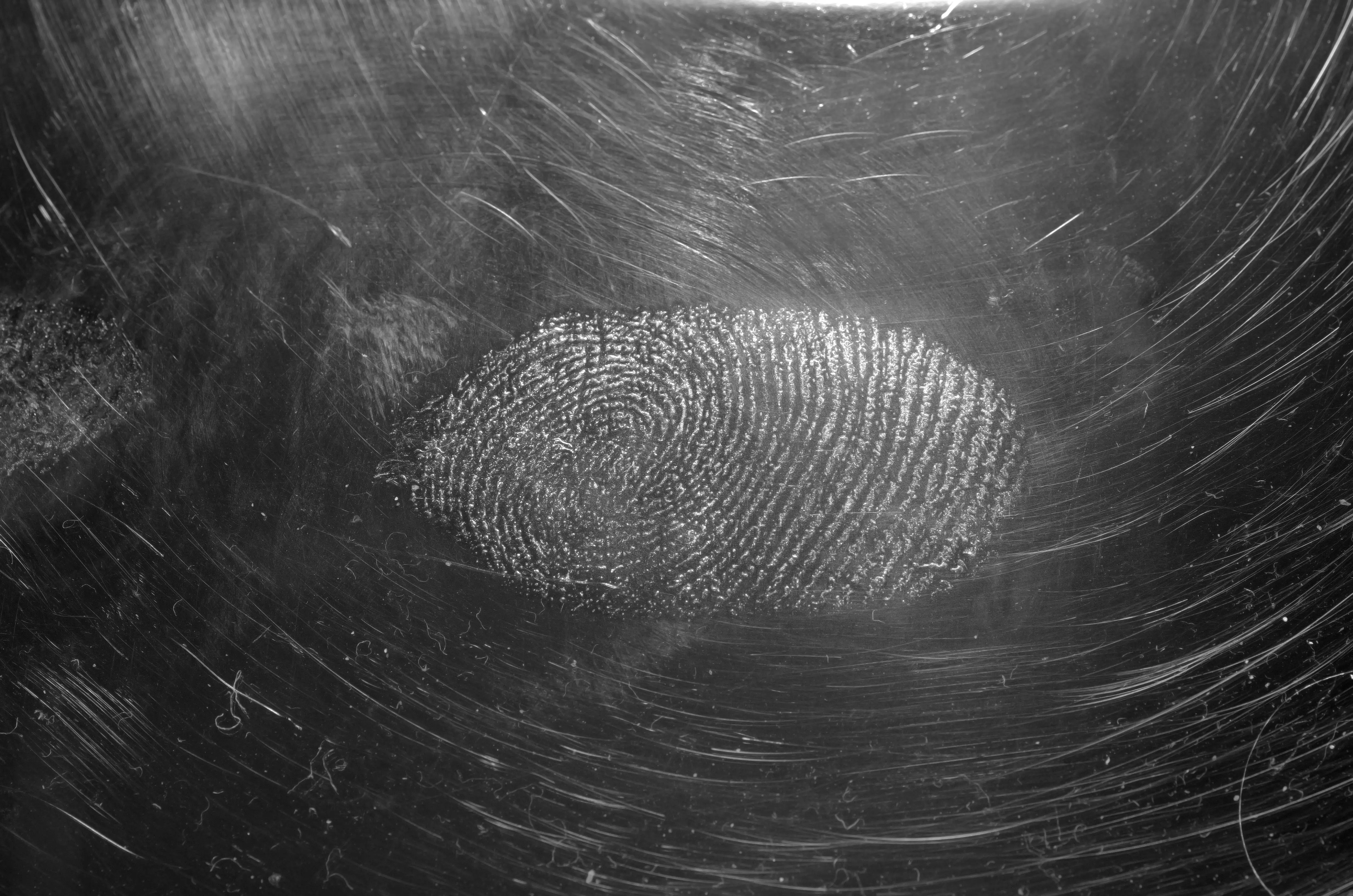 Tiny fingerprint can solve 2,000-year-old mystery of who attacked a Danish island