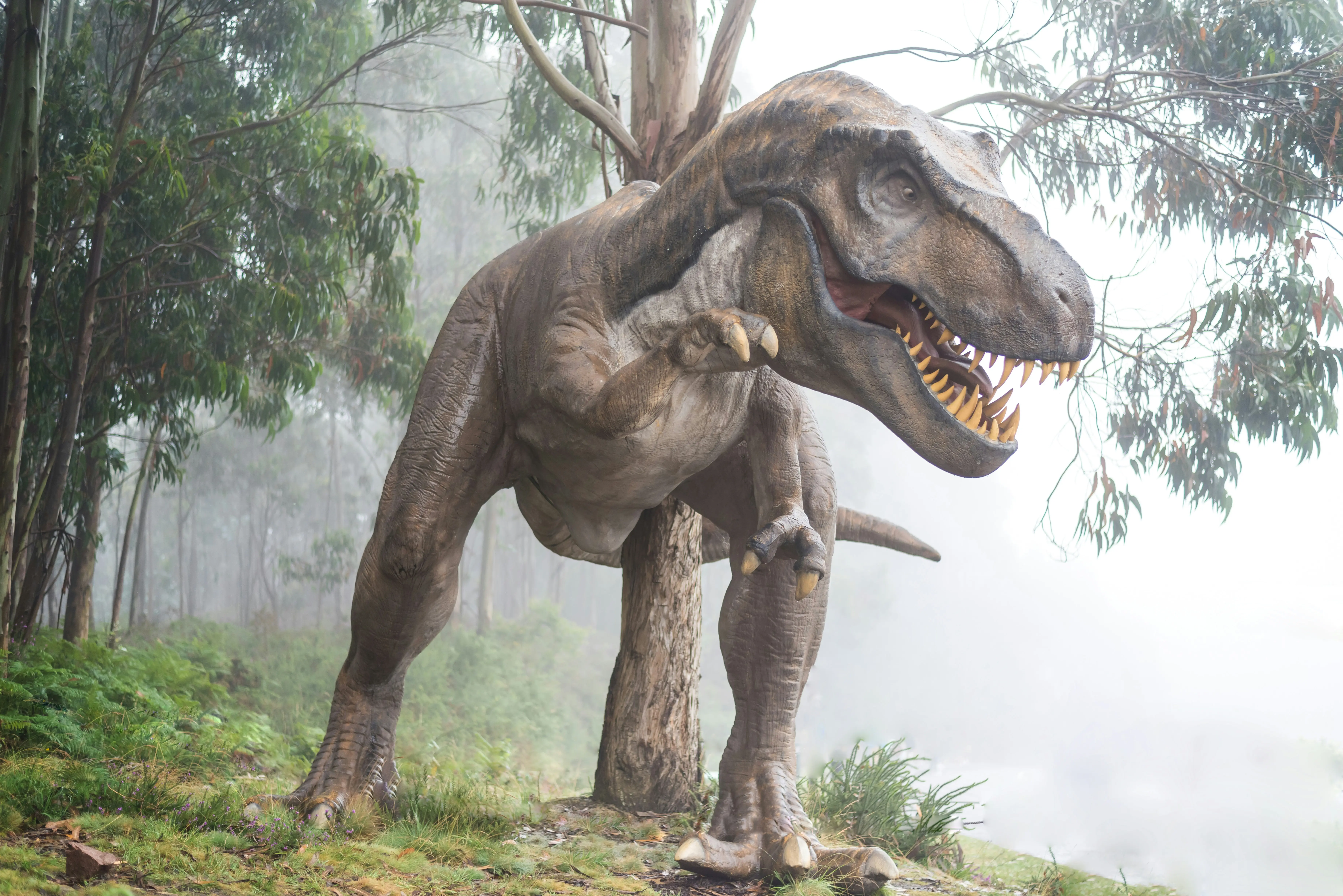 Dinosaurs are responsible for rapid ageing and short lifespans in humans