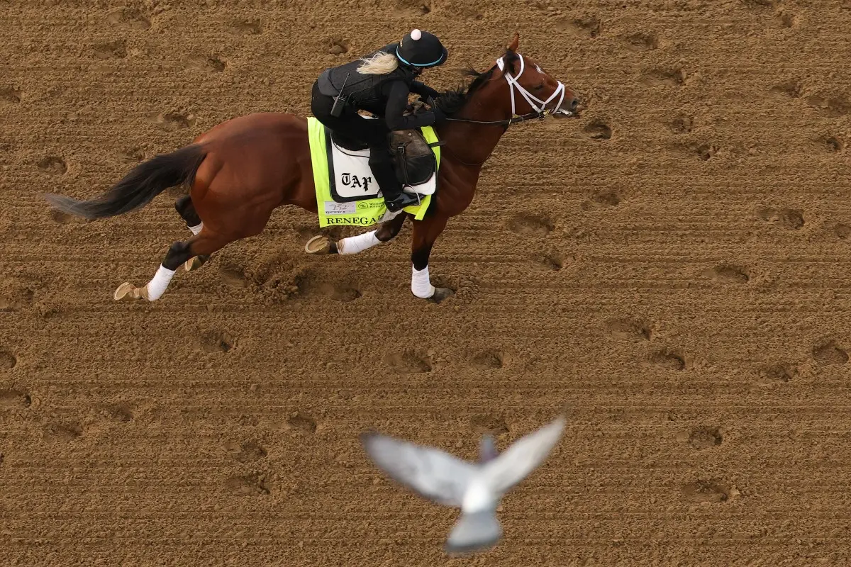 Kentucky Derby 2026: Complete guide to race day schedule, timings, horse lineup and where to watch
