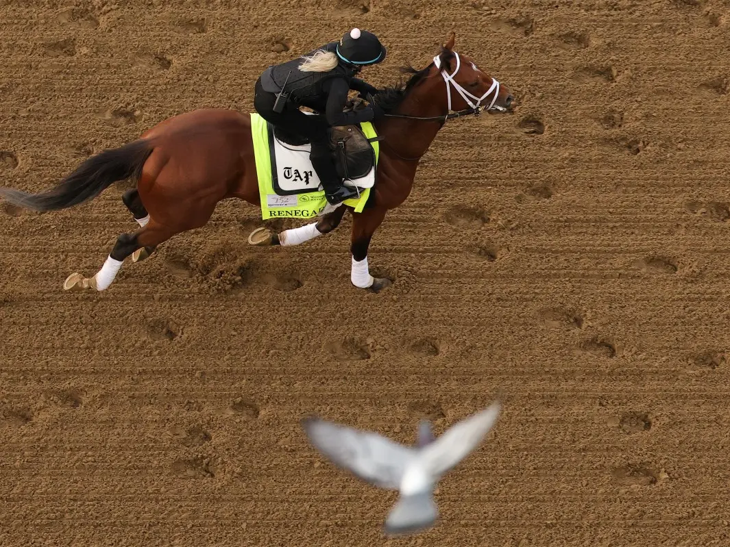 Kentucky Derby 2026: Complete guide to race day schedule, timings, horse lineup and where to watch Kentucky Derby 2026: Complete guide to race day schedule, timings, horse lineup and where to watch