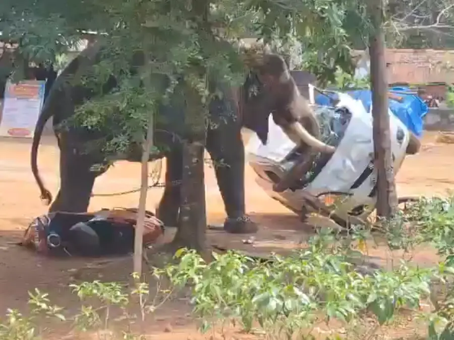 Kerala shocker: Captive elephant goes on rampage, flips cars like toy, leaves one dead - VIDEO