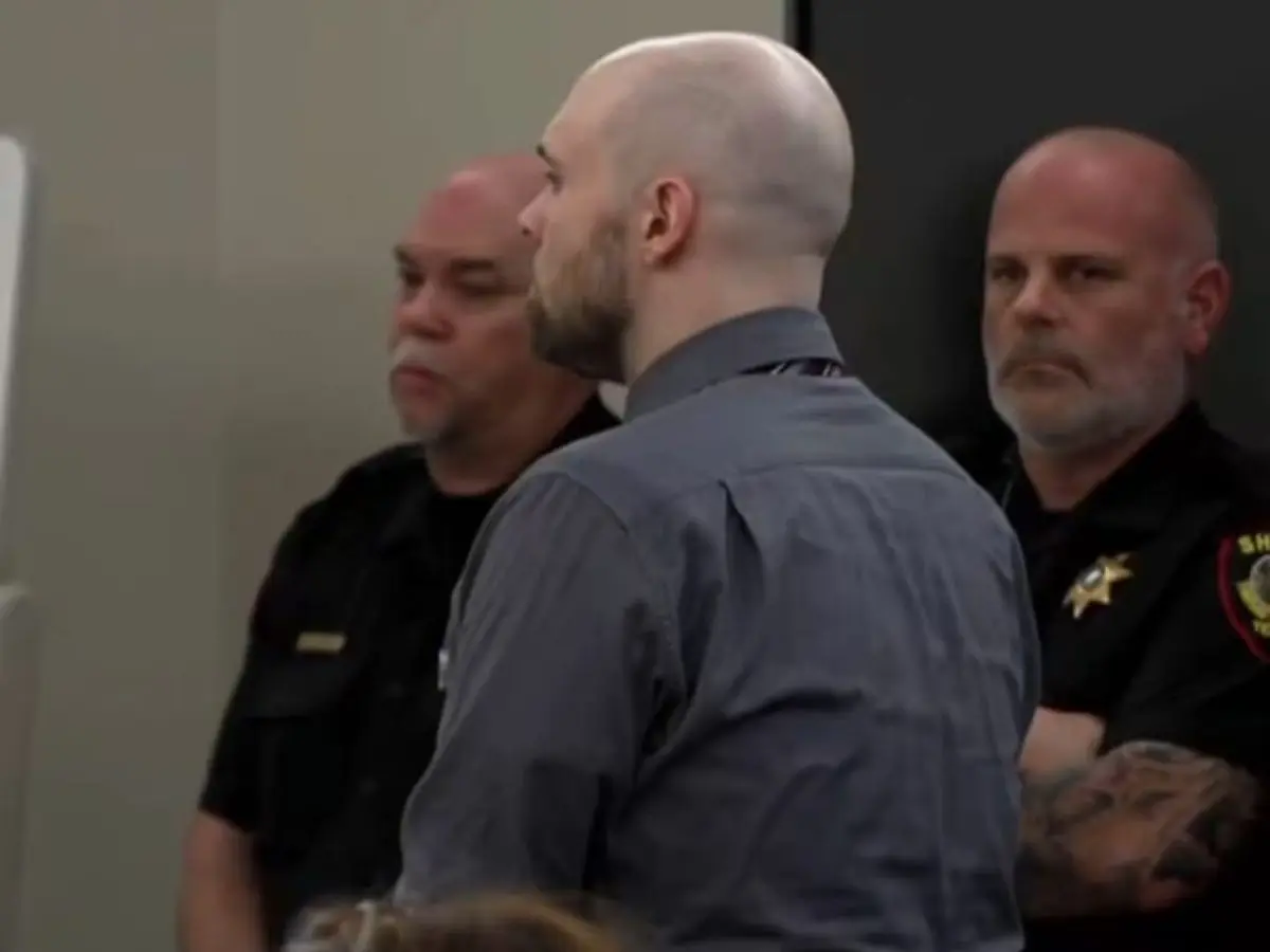 Horner pleads guilty