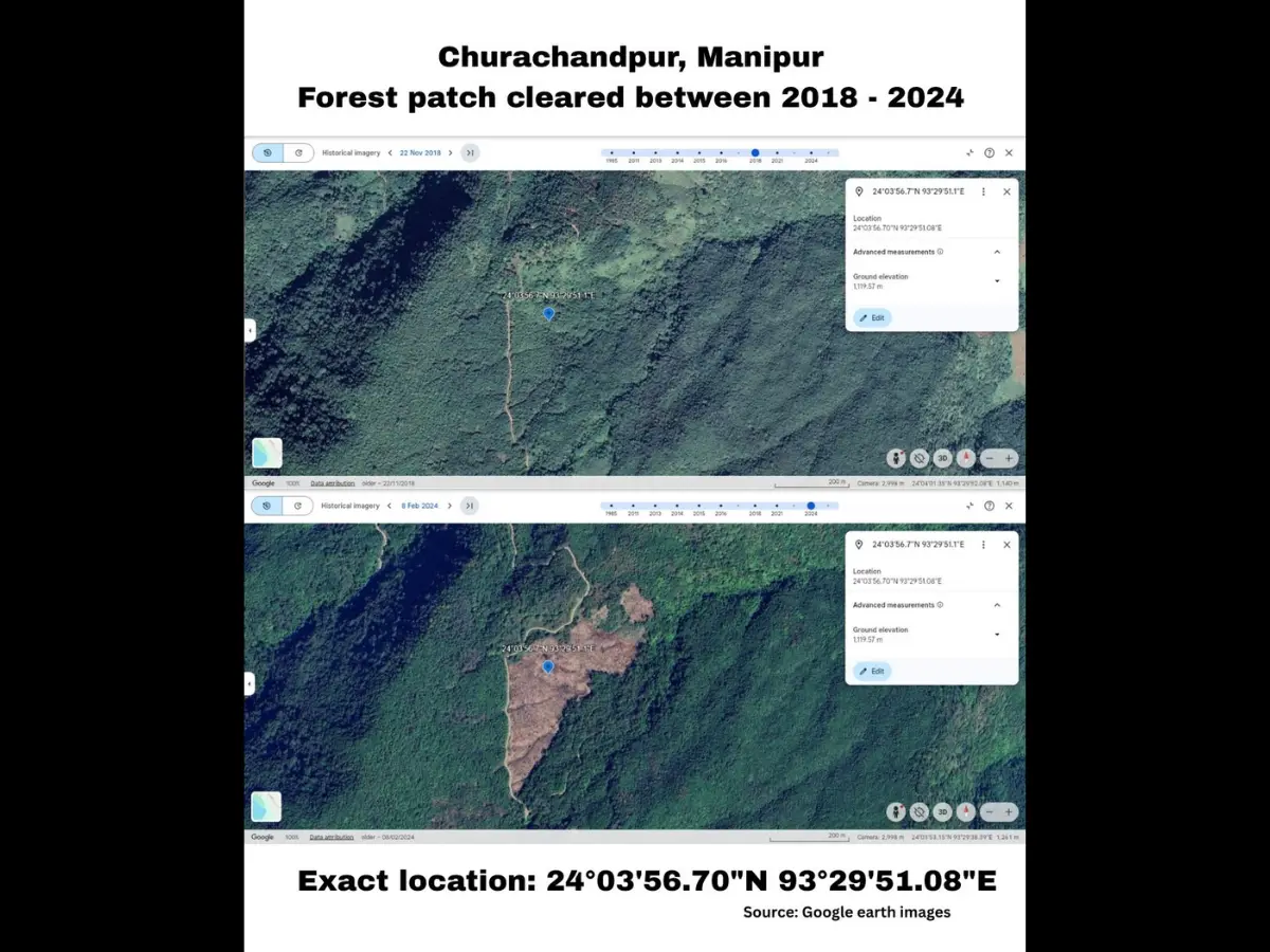 India's Green Mirage: Northeast is quietly losing its forest cover while India celebrates gains India's Green Mirage: Northeast is quietly losing its forest cover while India celebrates gains