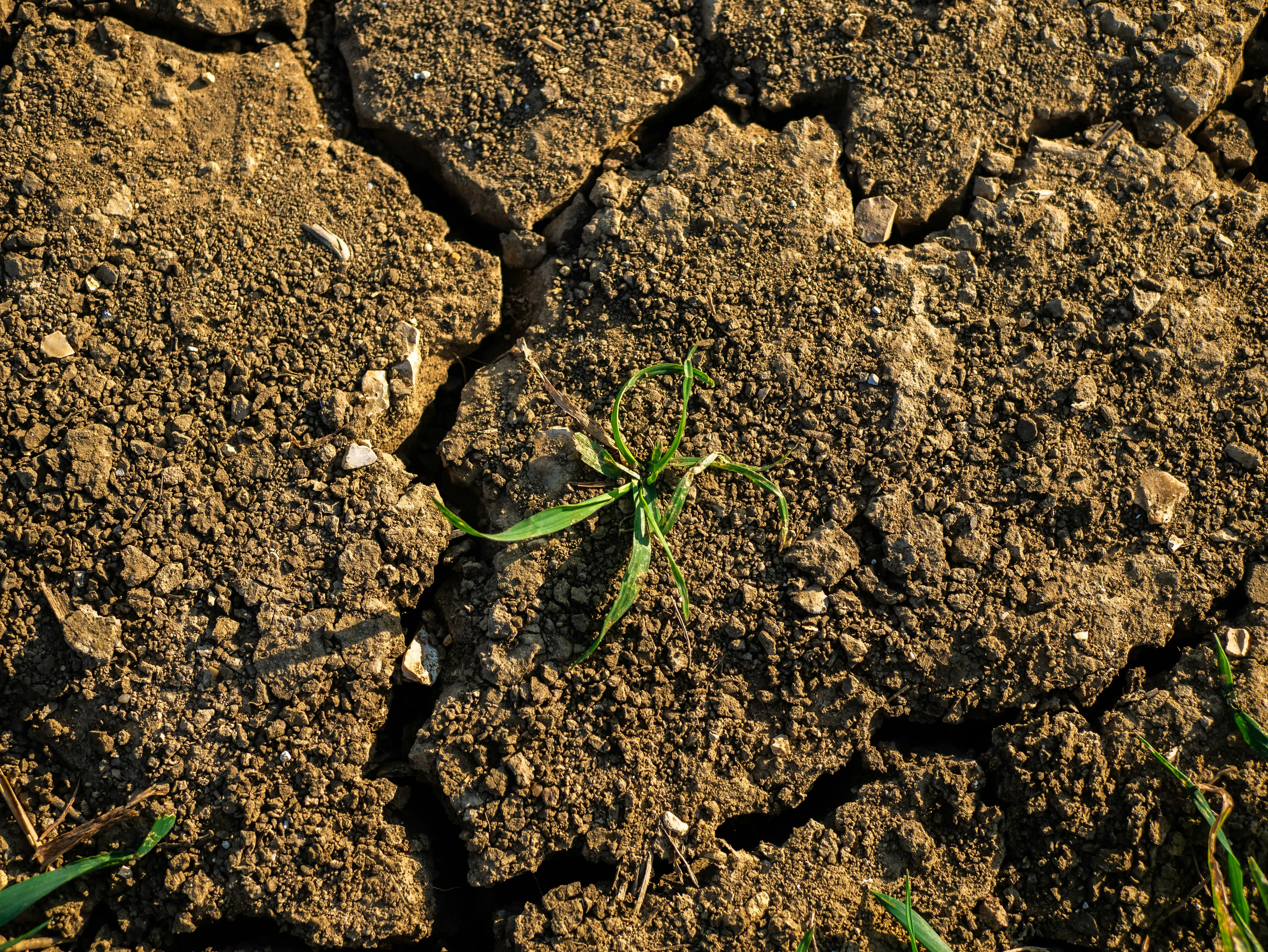 Super El Niño could hit Earth in 2026