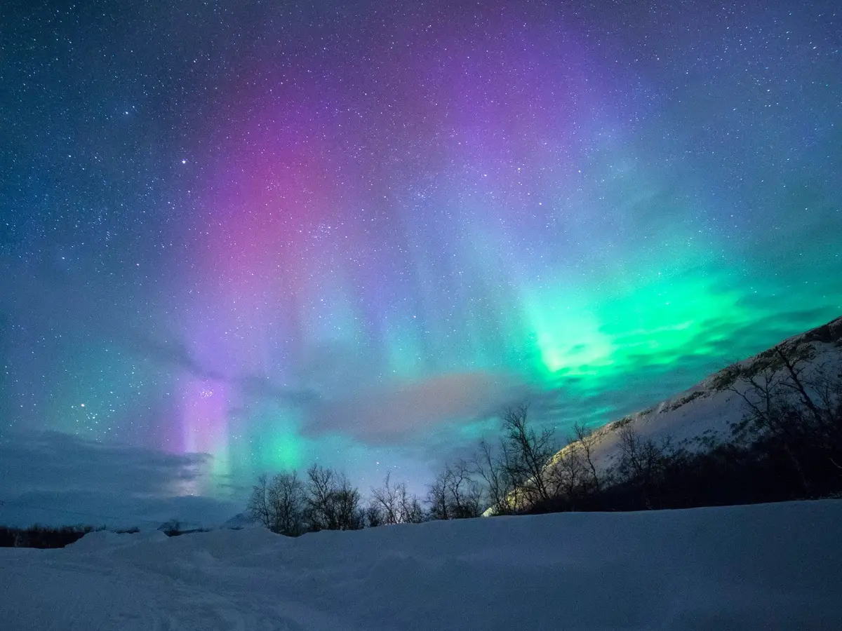 Sun unleashes M-class solar flare, auroras could light up Earth this week. Details
