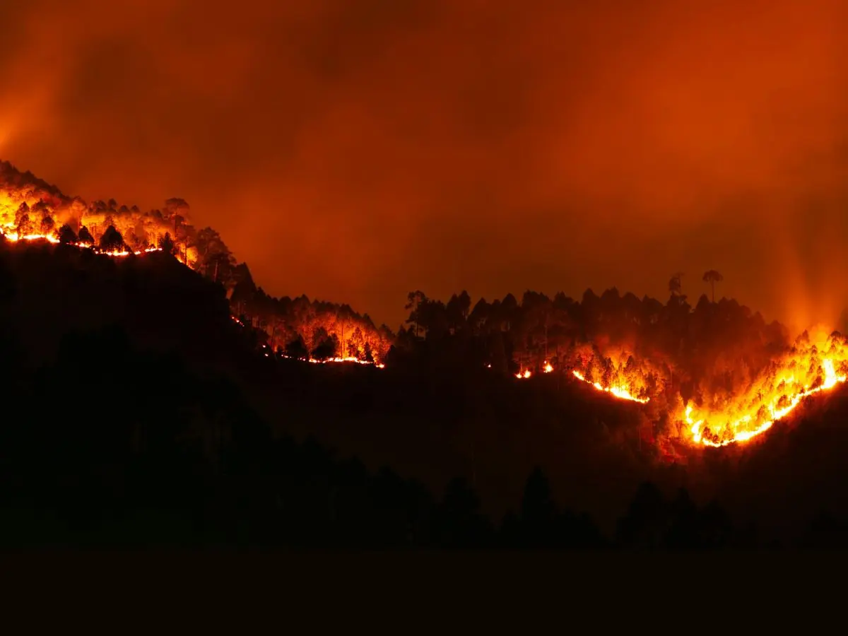 Over 150 million hectares burnt! Global wildfires hit record high in 2026 as extreme heat fuels climate fears