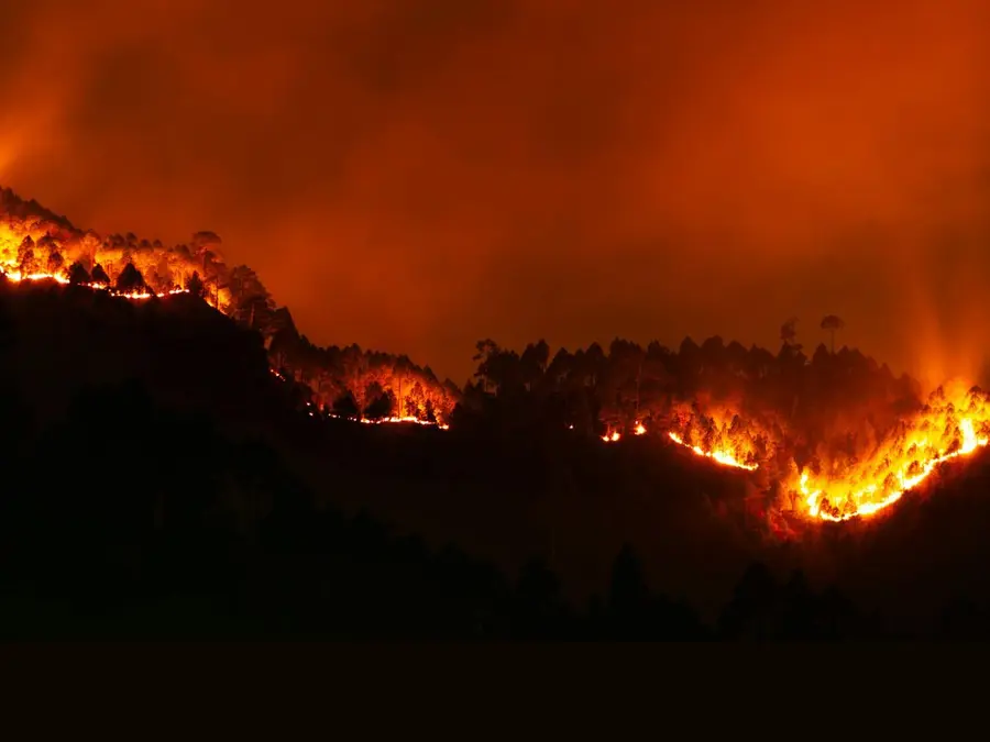 Over 150 million hectares burnt! Global wildfires hit record high in 2026 as extreme heat fuels climate fears