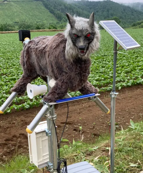 Flashing eyes, loud howls: Japan’s ‘Monster Wolf’ robots see boom in orders as bear attacks rise