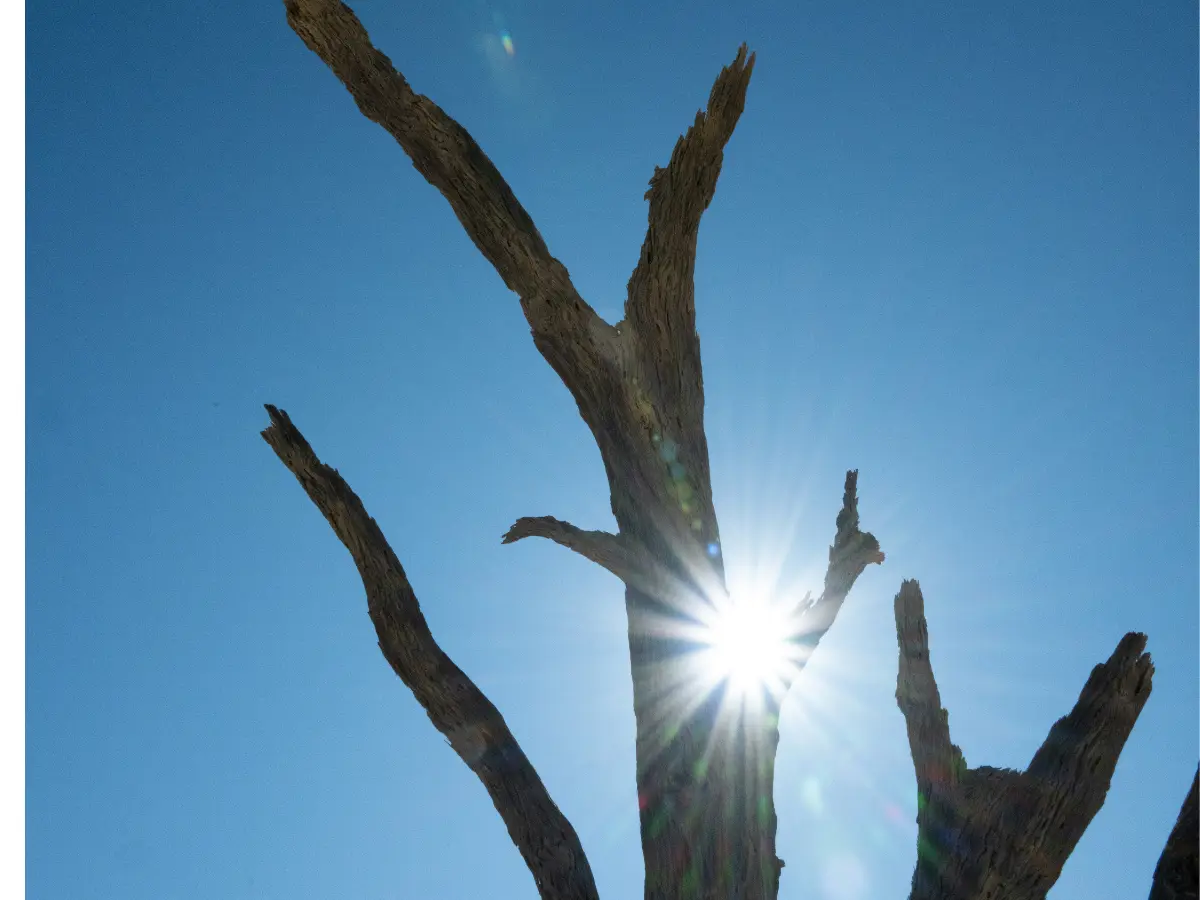 Which parts of India will feel El Niño's heat the most?