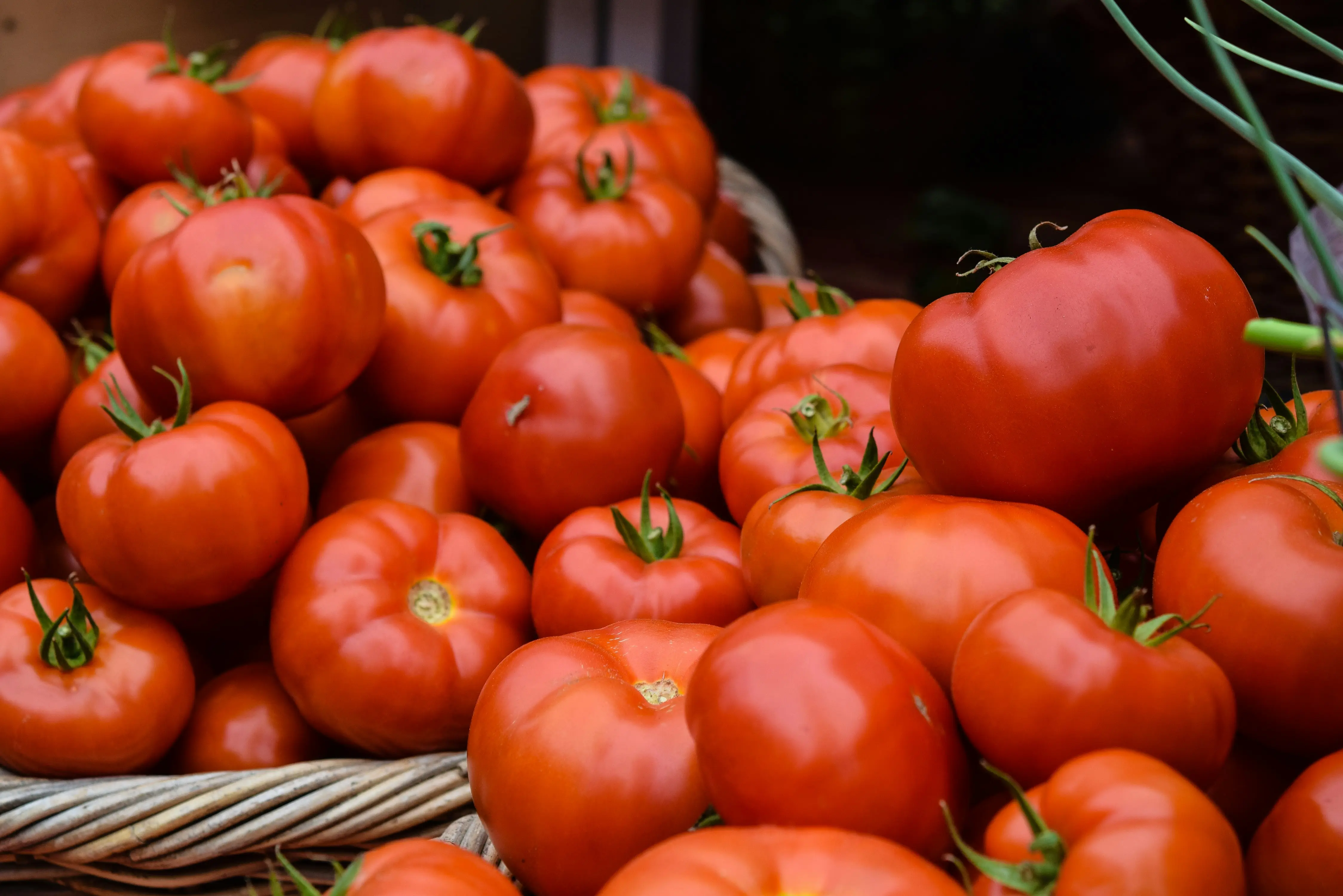 ‘The inflation basket’: Which daily items have seen the biggest price jumps in 2026?