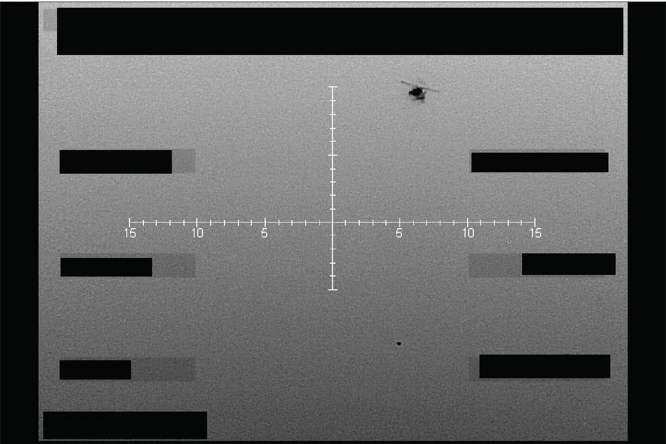 UFO Files - Mysterious creatures or interdimensional beings?