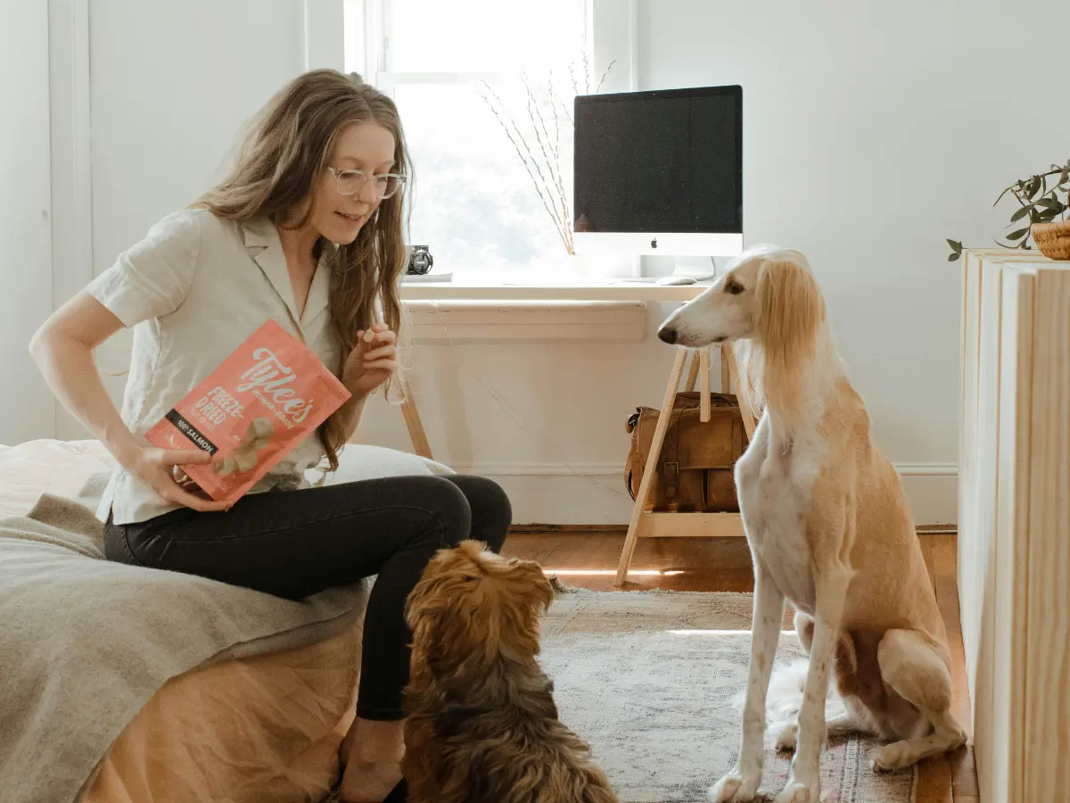 Dog nannies can make $288,000 a year in the US. Here is what you should know Dog nannies can make $288,000 a year in the US. Here is what you should know