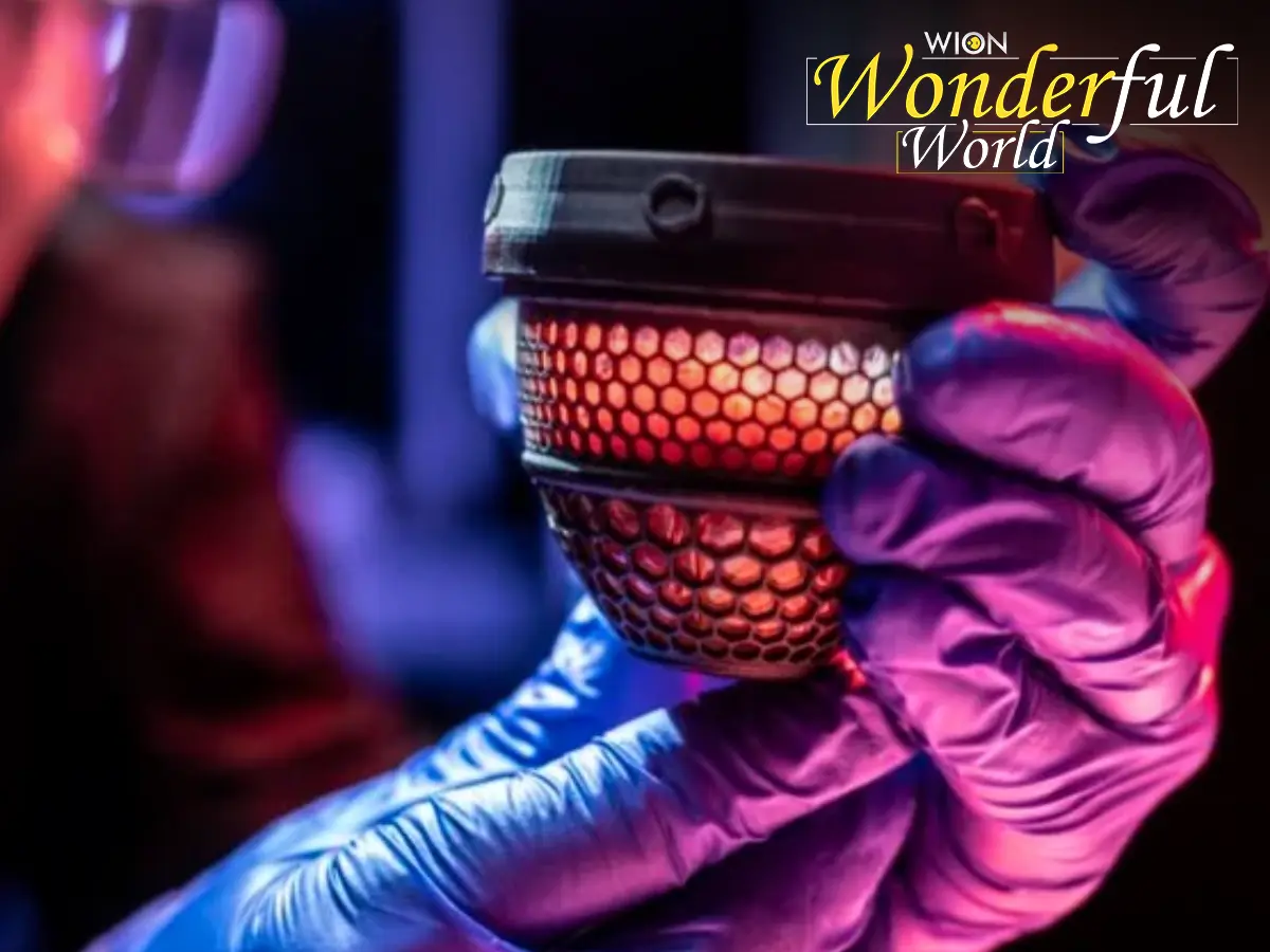 In major breakthrough, 3D-printed artificial egg hatched to produce 26 chickens In major breakthrough, 3D-printed artificial egg hatched to produce 26 chickens