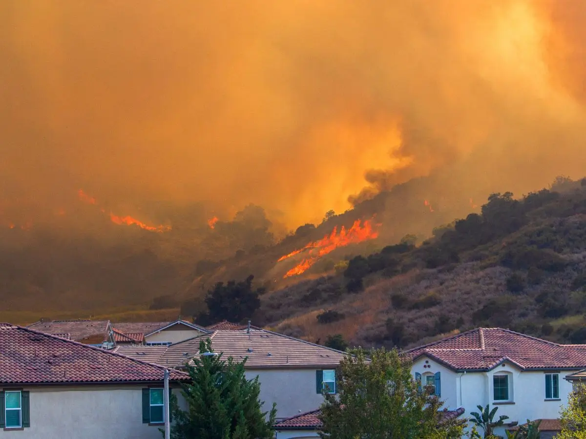 Thousands evacuated as California wildfire threatens homes | PICS