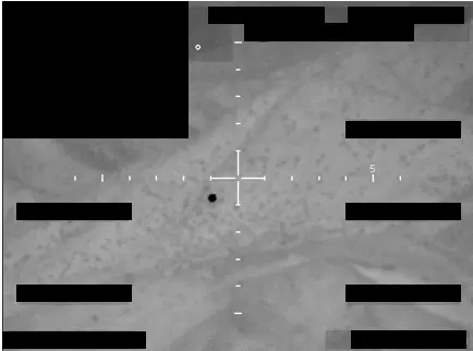 Who owns the airspace? The jurisdictional nightmare hidden in the declassified UFO files
