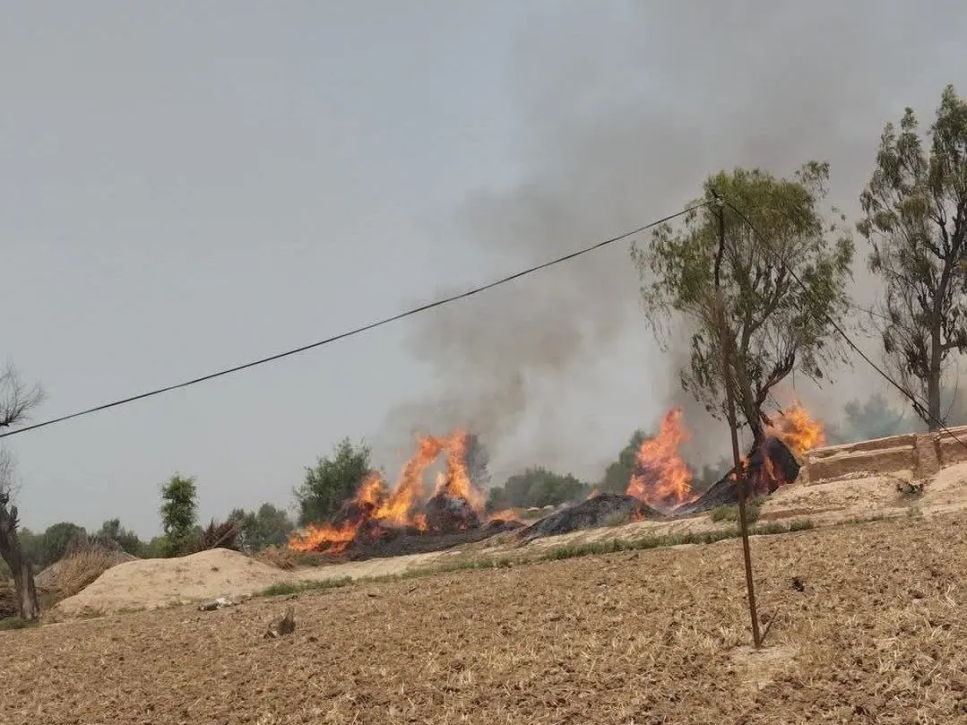 Pakistan Air Force training jet crashes in Punjab, report claims | VIDEO Pakistan Air Force training jet crashes in Punjab, report claims | VIDEO