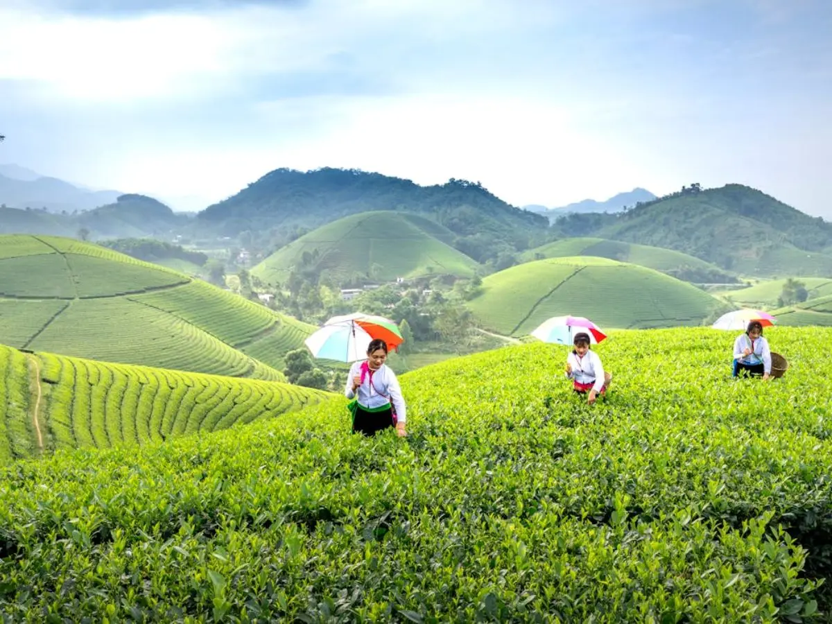 Vietnam