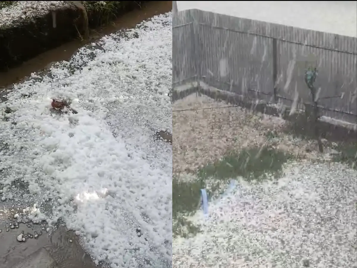 Severe hailstorm batters Kashmir’s Lolab Valley, widespread crop damage reported Severe hailstorm batters Kashmir’s Lolab Valley, widespread crop damage reported