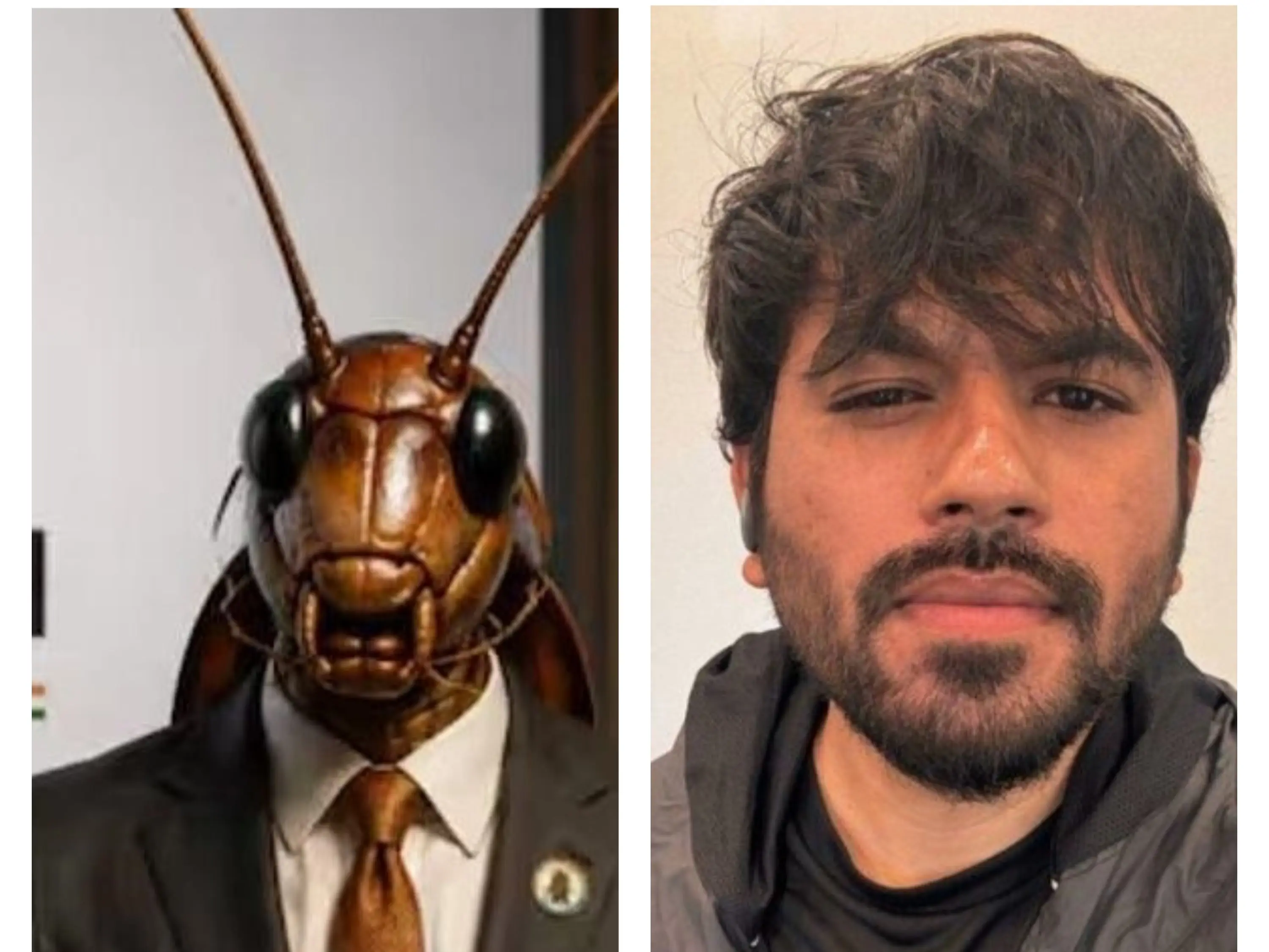 Cockroach Janata Party is a fever. Time to prevent the epidemic Cockroach Janata Party is a fever. Time to prevent the epidemic