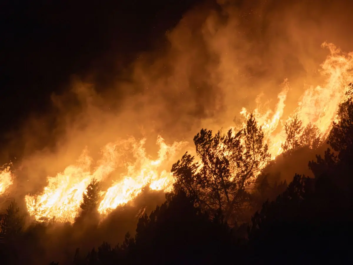 Think this is the hottest it gets? UN report warns Earth could smash temperature records by 2030