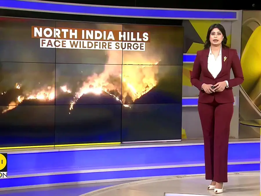 India Wildfires: Heatwave Conditions Spark Wildfires in Rajouri Forests