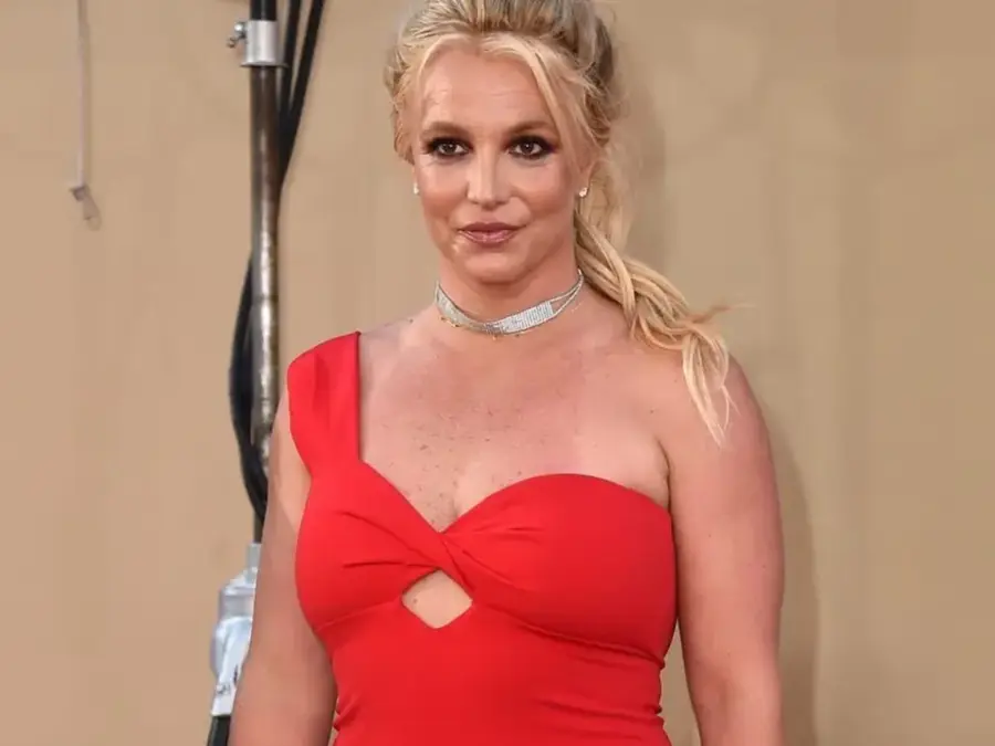 'A lot of emotional issues': Britney Spears opens up about personal struggles after legal troubles