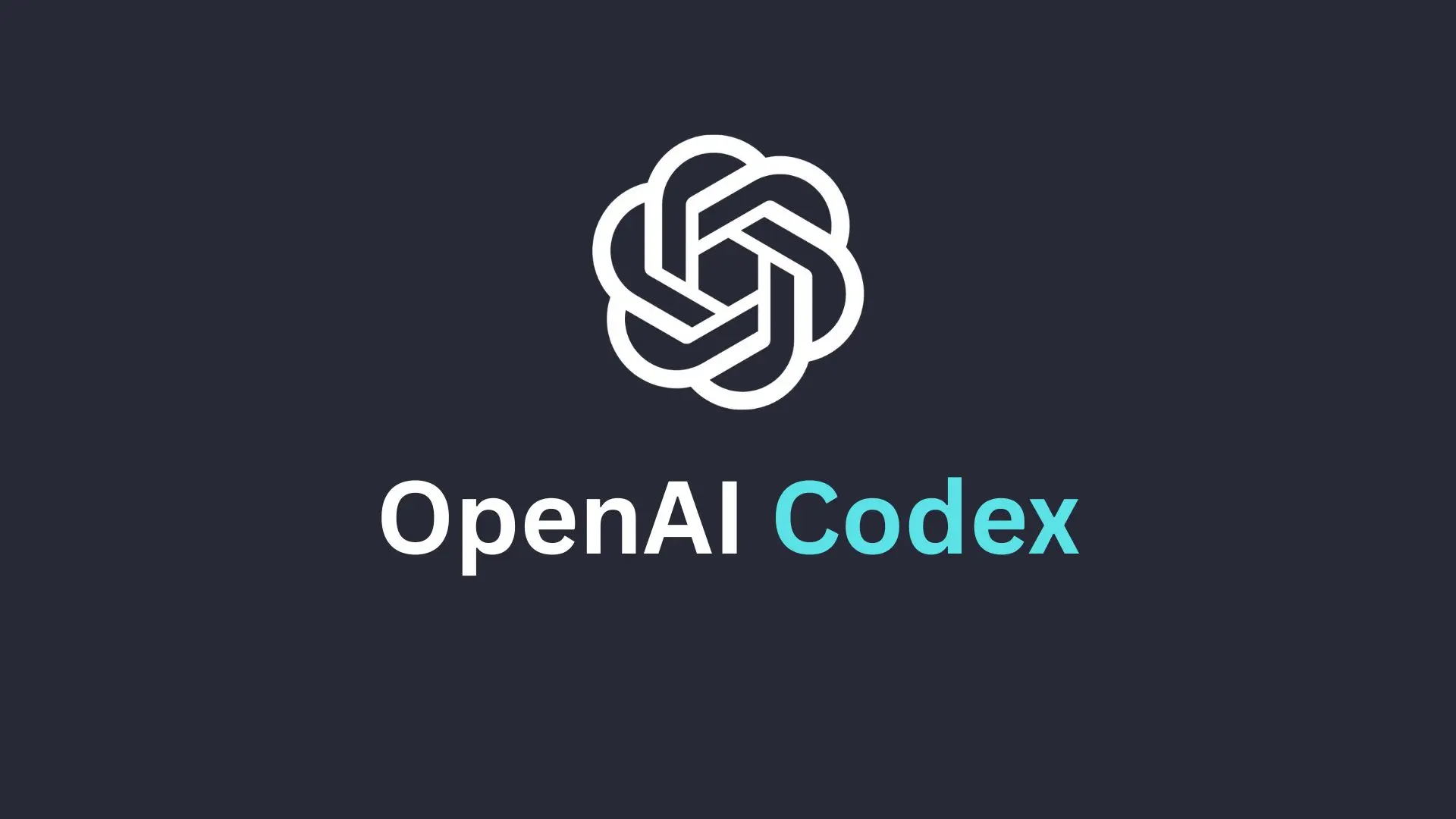 ‘India's AI boom’: OpenAI reports 27-fold growth in Codex users
