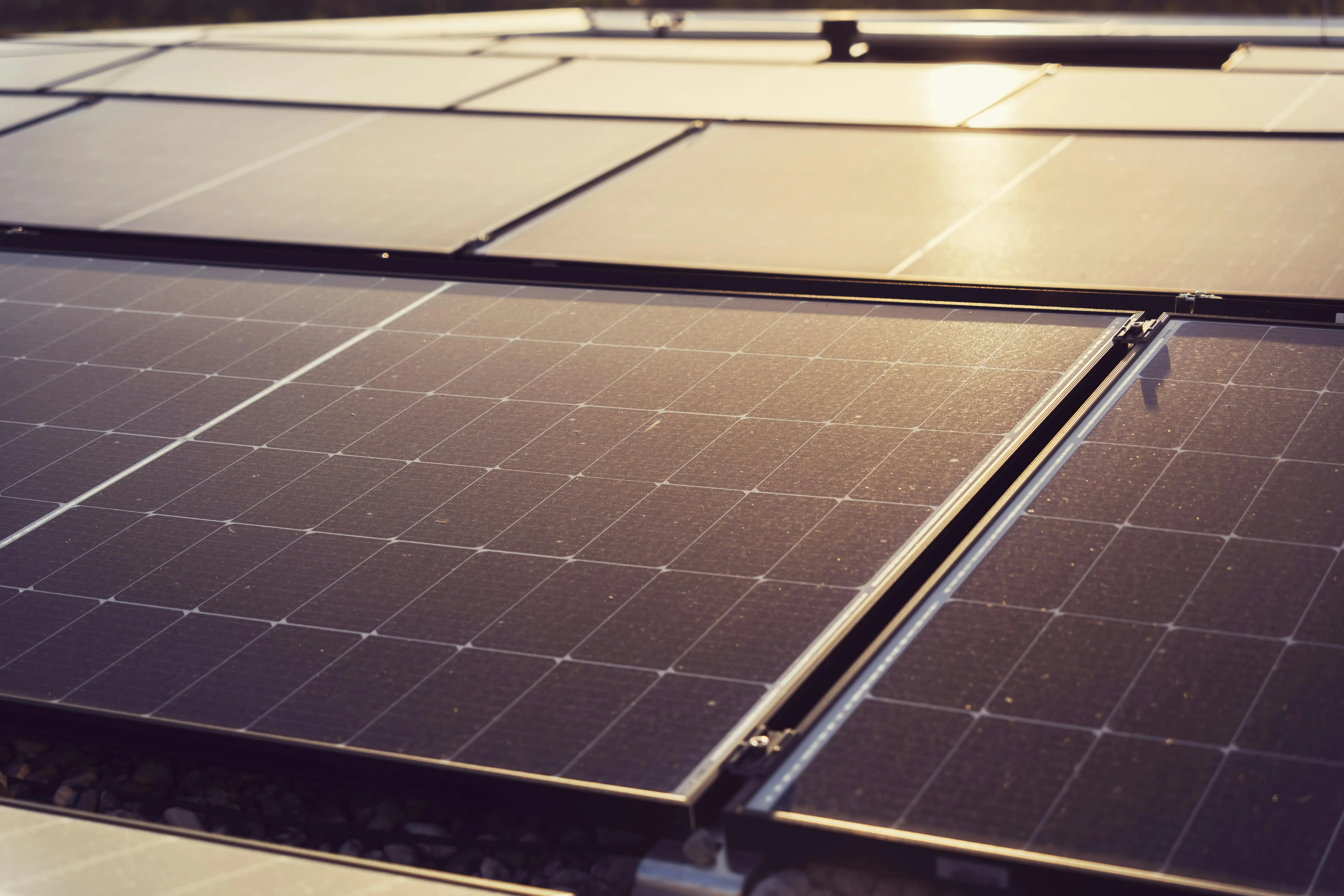 Installing rooftop solar panels in India? New rules could make them costlier – Here’s why