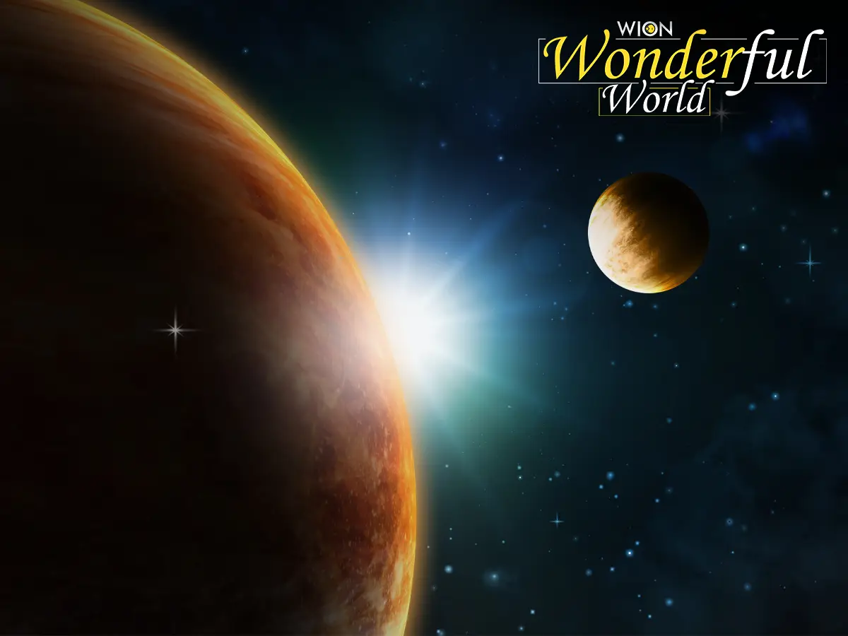Scientists just discovered cannibal stars. Our Sun also once ate Earth-like planets - WION Special Scientists just discovered cannibal stars. Our Sun also once ate Earth-like planets - WION Special