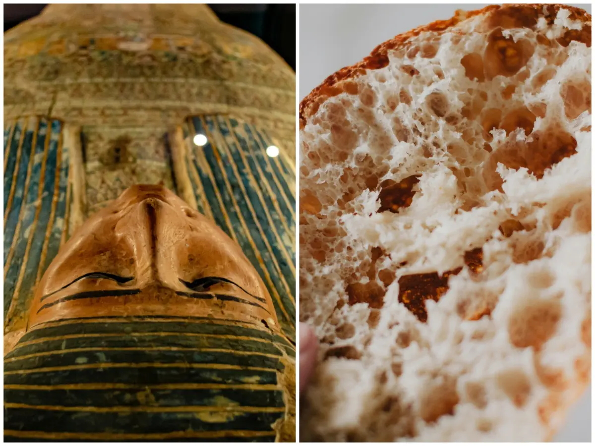 Would you eat it? Scientists baked bread using yeast found in 5,300-year-old mummy's gut Would you eat it? Scientists baked bread using yeast found in 5,300-year-old mummy's gut