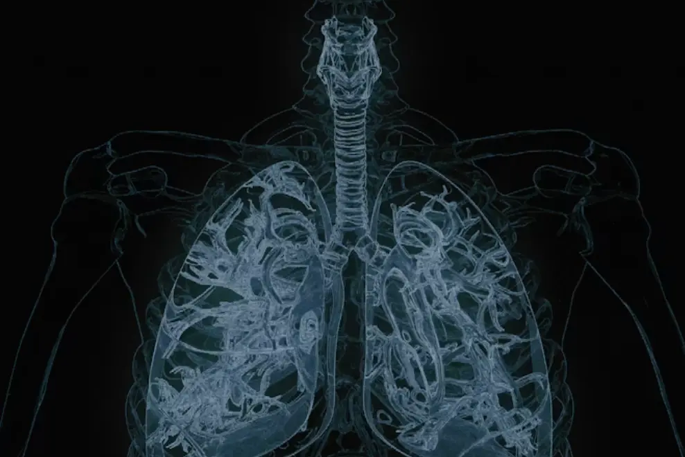 Hidden system, big impact: THIS forgotten organ could predict how long you live, study finds