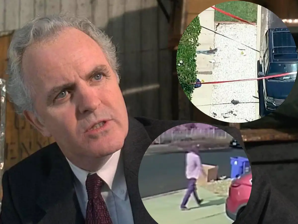 Footage of James Handy’s murder suspect calmy walking after stabbing ...