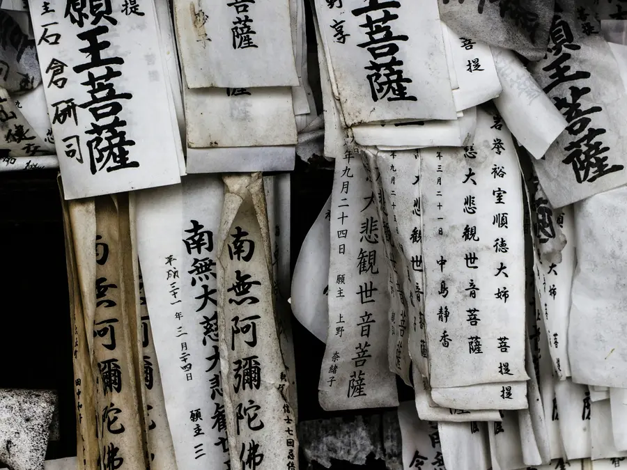 Japanese researchers turn discarded udon noodles into biodegradable paper: How it works
