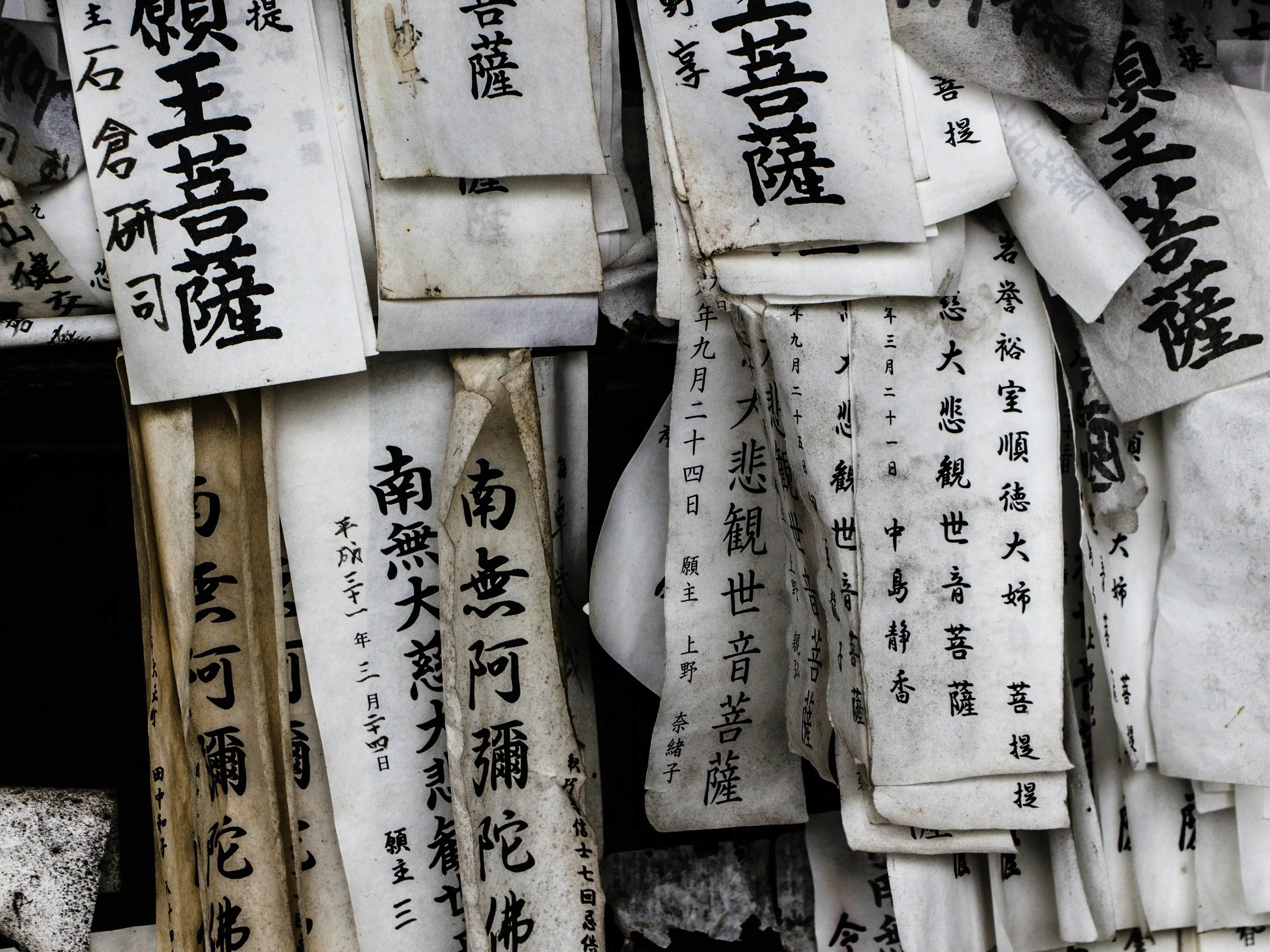 Japanese researchers turn discarded udon noodles into biodegradable paper: How it works Japanese researchers turn discarded udon noodles into biodegradable paper: How it works