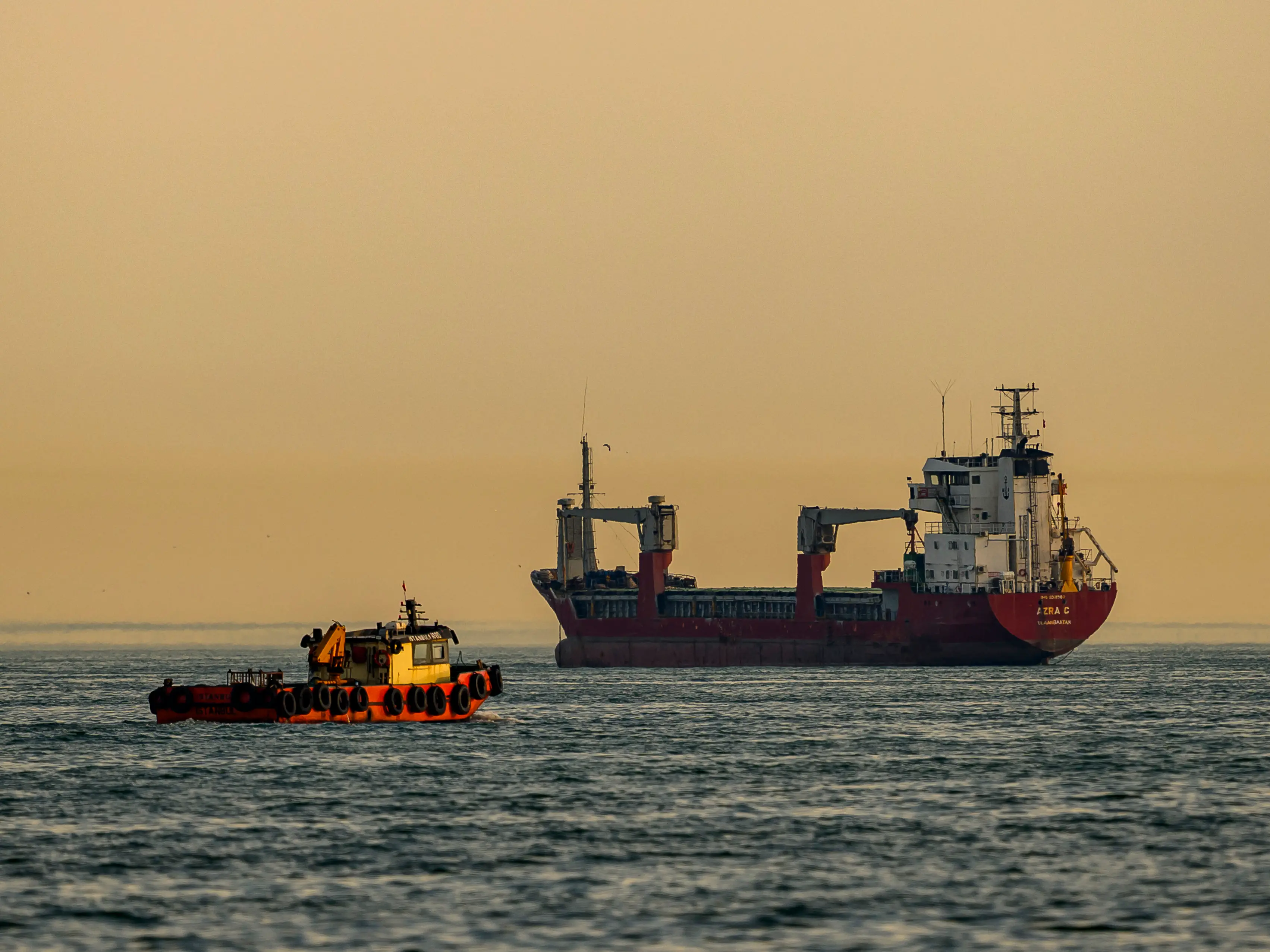 Indian seafarers worst affected as global ship abandonment hits record high Indian seafarers worst affected as global ship abandonment hits record high