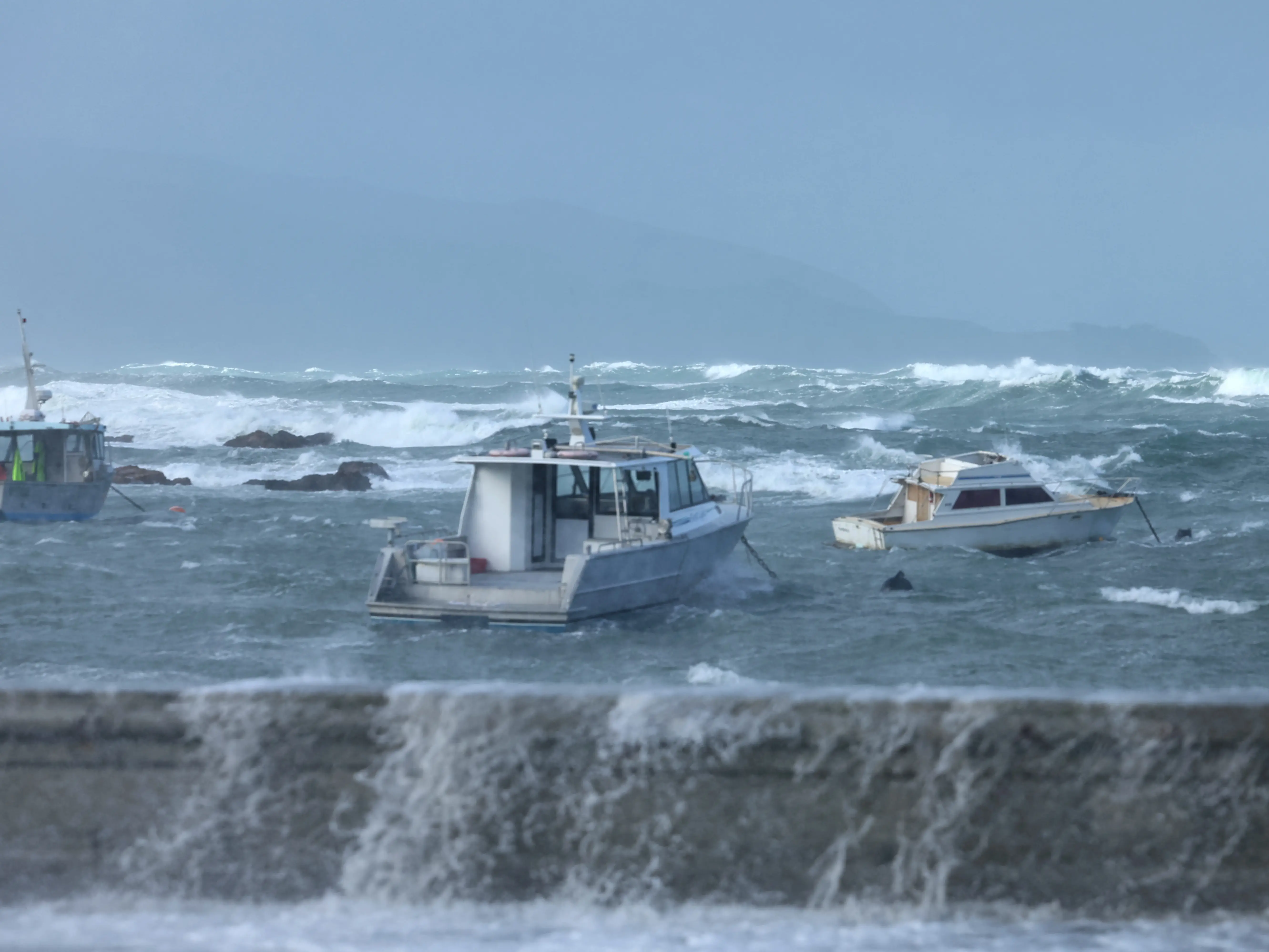 State of emergency declared in New Zealand's Wellington as 11-meter waves force hundreds to evacuate State of emergency declared in New Zealand's Wellington as 11-meter waves force hundreds to evacuate