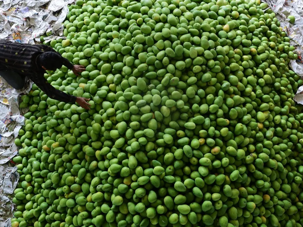 India's agri-export crisis- Mango, rice, spice, a bigger pattern of compliance failure India's agri-export crisis- Mango, rice, spice, a bigger pattern of compliance failure