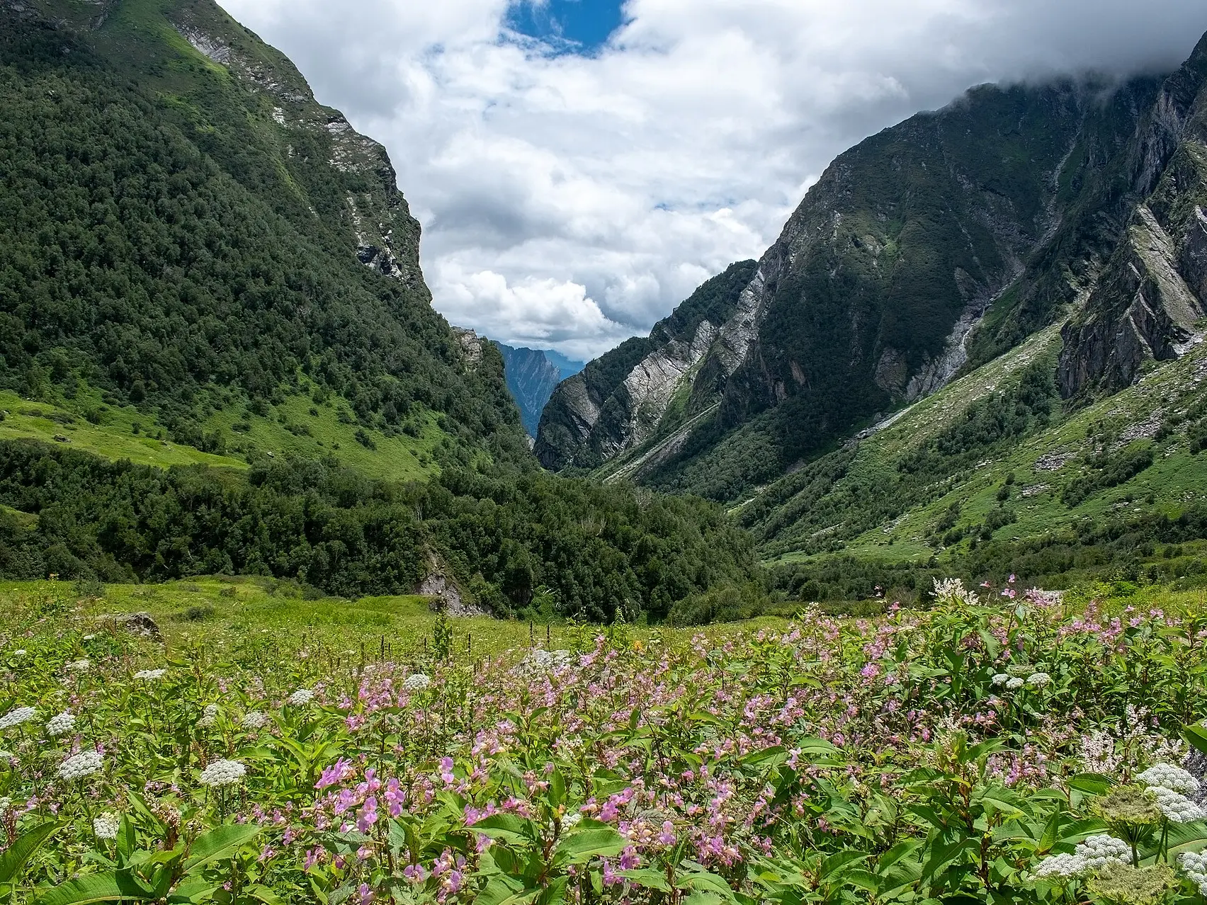 Looking for the perfect rainy-season adventure? Try these 8 monsoon treks Looking for the perfect rainy-season adventure? Try these 8 monsoon treks