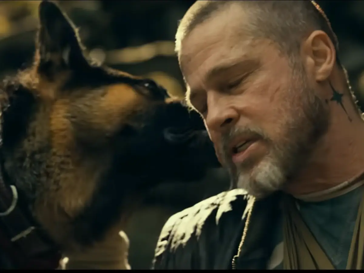 Heart Of The Beast trailer out: Brad Pitt and his canine companion battle for survival in Alaska | Watch Heart Of The Beast trailer out: Brad Pitt and his canine companion battle for survival in Alaska | Watch