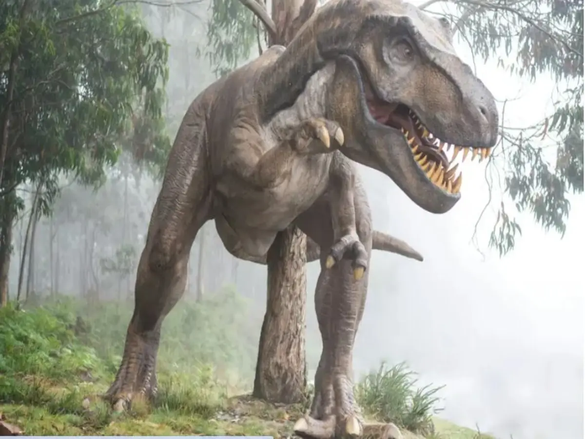 Rare dinosaur fossils of theropods, ornithischian return to Mongolia after 20 years