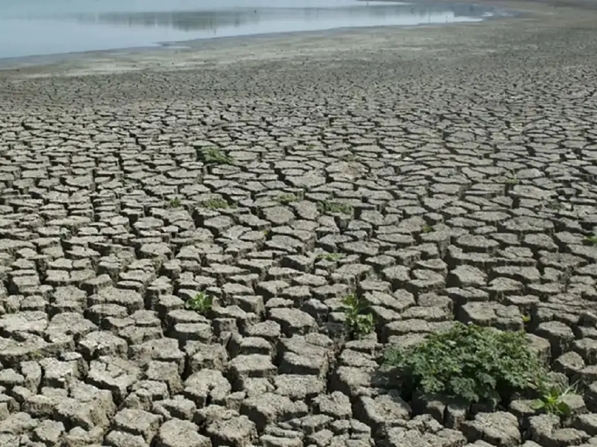 IMD warns of El Niño onset: How will it impact India’s weather, rainfall, economy and public health IMD warns of El Niño onset: How will it impact India’s weather, rainfall, economy and public health