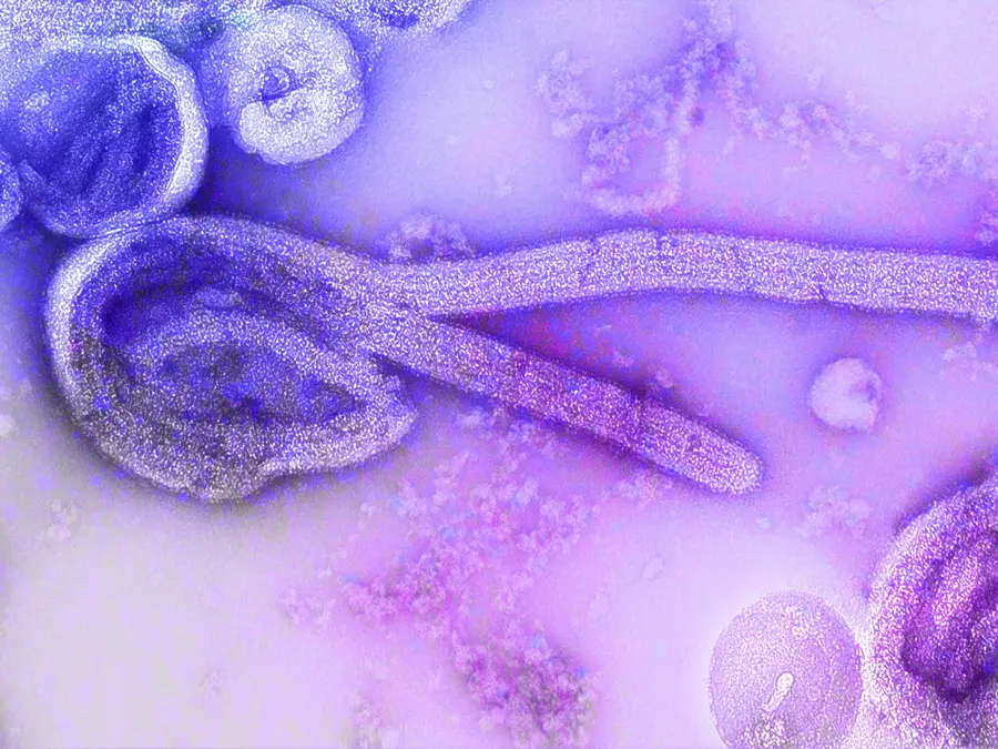 Ebola scare in Kerala: Woman returning from South Sudan falls ill – What we know