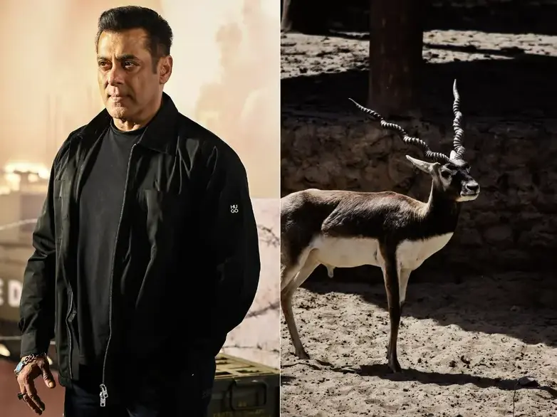 Salman Khan denied immediate relief over Kala Hiran movie; court orders actor to provide more documents Salman Khan denied immediate relief over Kala Hiran movie; court orders actor to provide more documents