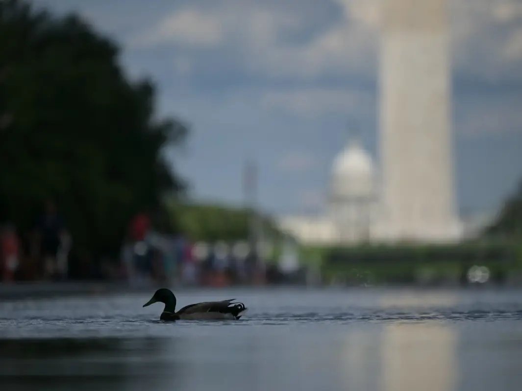 Trump claims Lincoln Memorial Reflecting Pool was vandalised after $14.7 million renovation Trump claims Lincoln Memorial Reflecting Pool was vandalised after $14.7 million renovation